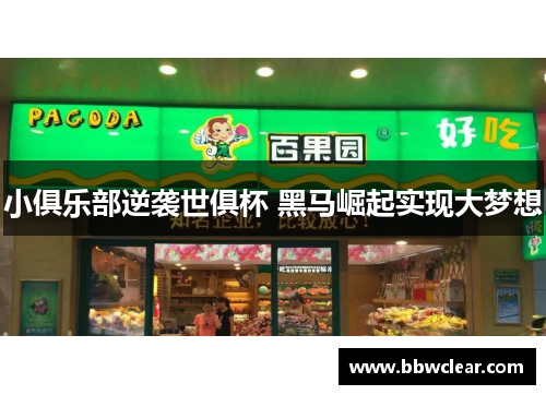 小俱乐部逆袭世俱杯 黑马崛起实现大梦想 小俱乐部逆袭世俱杯 黑马崛起实现大梦想
