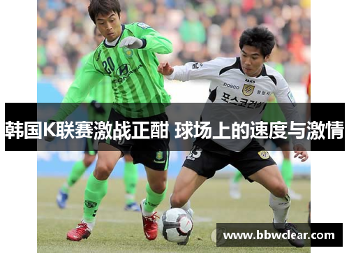 韩国K联赛激战正酣 球场上的速度与激情 韩国K联赛激战正酣 球场上的速度与激情